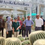 Mantan Wapres RI ke-11, Pak Boediono beserta istri, didampingi oleh Direktur Kebun Raya, Marga Anggrianto mengamati Bunga Bangkai Raksasa yang mekar d Kebun Raya Cibodas