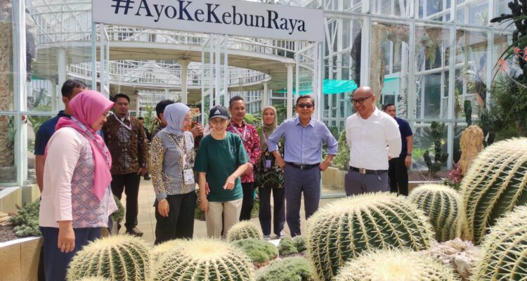 Mantan Wapres RI ke-11, Pak Boediono beserta istri, didampingi oleh Direktur Kebun Raya, Marga Anggrianto mengamati Bunga Bangkai Raksasa yang mekar d Kebun Raya Cibodas