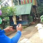 Petani domba, Suryamin, memposting domba Spanyol yang akan di pasarkan.