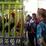 Wakil Walikota Dedie A Rachim Hadiri Kontes Ayam Pelung.