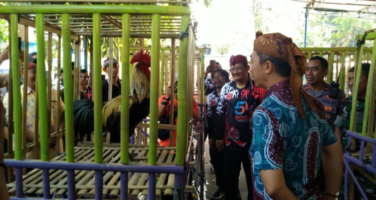 Wakil Walikota Dedie A Rachim Hadiri Kontes Ayam Pelung.