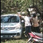 Pohon Tumbang Timpa Mobil Terjadi di R3 Katulampa Bogor