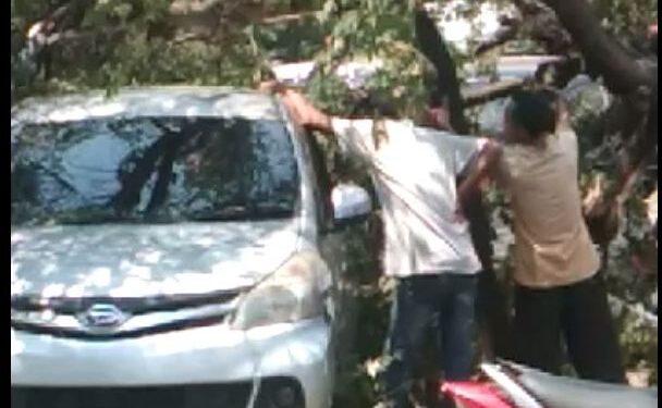 Pohon Tumbang Timpa Mobil Terjadi di R3 Katulampa Bogor