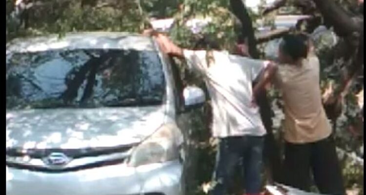Pohon Tumbang Timpa Mobil Terjadi di R3 Katulampa Bogor