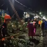 Tim Gabungan SAR Melakukan Evakuasi Pohon Tumbang Yang Menimpa Mobil Avanza di Jalan Raya Tajur