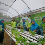 Ibu-Ibu yang sedang belajar Hidrophonik, foto Hotel Safari Garden