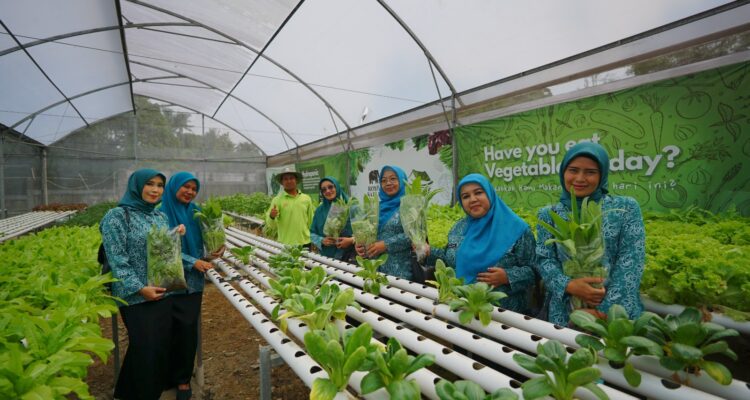 Ibu-Ibu yang sedang belajar Hidrophonik, foto Hotel Safari Garden