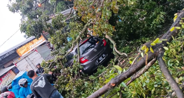 Mobil tertimpa pohon besar di jalan raya puncak, gadog bogor