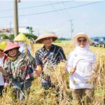 Tekan Stunting, Pemkot Bogor Kembangkan Padi Nutrizinc