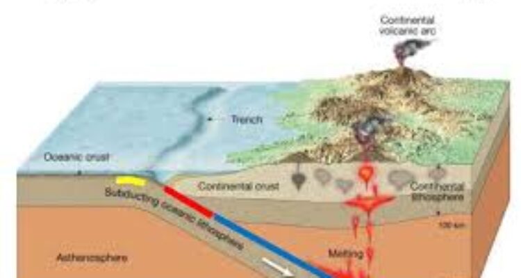 Ilustrasi Megatrusht