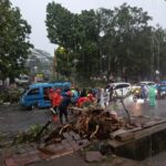 Pohon tumbang di Jalan KH. Abdullah Bin Nuh Bogor menghambat lalu lintas