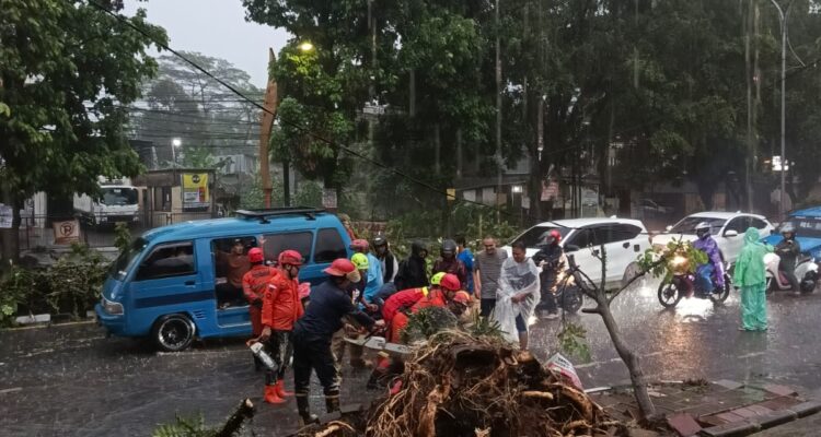 Pohon tumbang di Jalan KH. Abdullah Bin Nuh Bogor menghambat lalu lintas