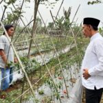 Wakil Bupati Ade Jaro saat mendengar keluhan dari petani soal pupuk