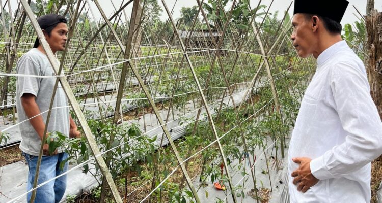 Wakil Bupati Ade Jaro saat mendengar keluhan dari petani soal pupuk