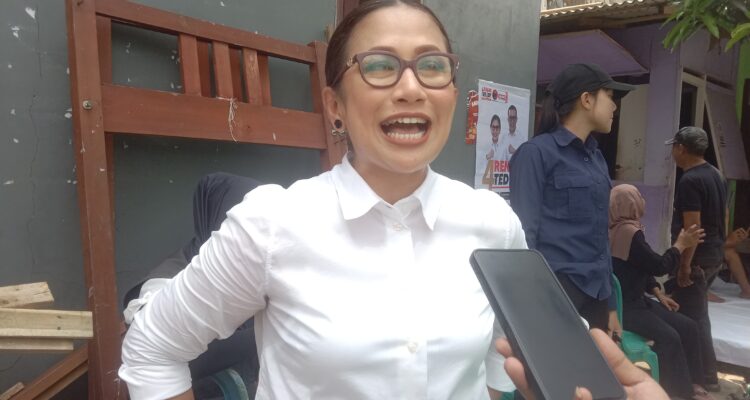 Calon wali kota bogor nomor urut 4, Rena Da Frina