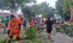 Evakuasi pohon tumbang di Jalan Tentara Pelajar yang menewaskan satu pemuda Evakuasi pohon tumbang di Jalan Tentara Pelajar yang menewaskan satu pemuda