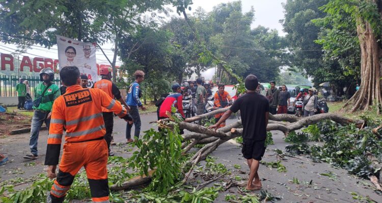 Evakuasi pohon tumbang di Jalan Tentara Pelajar yang menewaskan satu pemuda