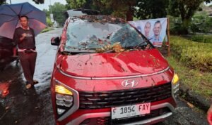 Mobil yang ditimpa pohon tumbang karena cuaca ektrem