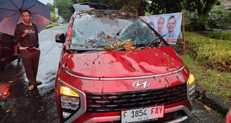 Mobil yang ditimpa pohon tumbang karena cuaca ektrem