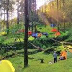 Nikmati Sunrise Terbaik di Kafe Alam Bogor: Tempat Nongkrong dengan Suasana Alam yang Menyegarkan