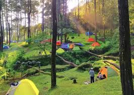 Sunrise Nikmati Sunrise Terbaik di Kafe Alam Bogor: Tempat Nongkrong dengan Suasana Alam yang Menyegarkan