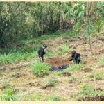 tim Jihandak (Penjinak Bahan Peledak) dari Sat Gegana Mabes Polri saat meledakan granat aktif di Tamanasari Bogor