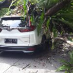 salah satu kendaraan yang teritmpa pohon yang tumbang di Ciawi Bogor