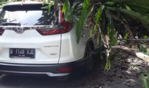 salah satu kendaraan yang teritmpa pohon yang tumbang di Ciawi Bogor