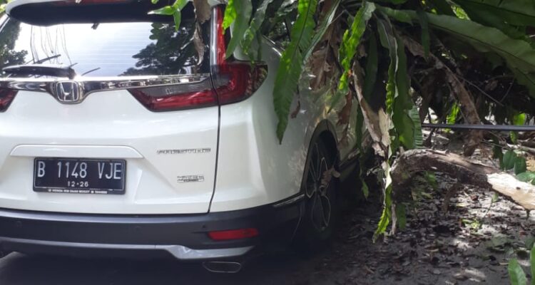 salah satu kendaraan yang teritmpa pohon yang tumbang di Ciawi Bogor