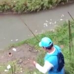 Terlihat ikan mati terlintas di Sungai Cipinang Gading, Mulyaharja, Kota Bogor