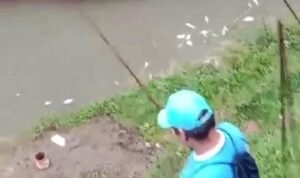 Terlihat ikan mati terlintas di Sungai Cipinang Gading, Mulyaharja, Kota Bogor