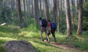 Ilustrasi Trekking Ilustrasi Trekking