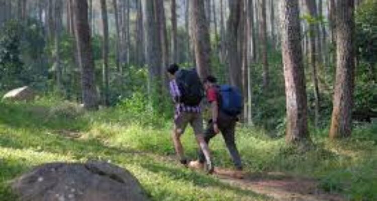 Ilustrasi Trekking