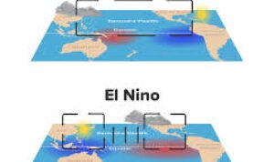 Ilustrasi La Nina Ilustrasi La Nina