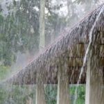 Ilustrasi Musim Hujan