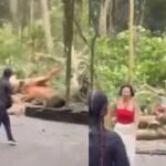 Peristiw pohon tumbang di Monkey Forest Ubud Bali