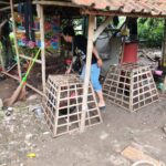 Lokasi judi sambung ayam di kawasan gunung putri kabupaten Bogor