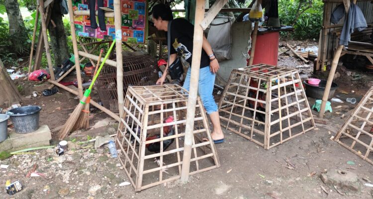 Lokasi judi sambung ayam di kawasan gunung putri kabupaten Bogor