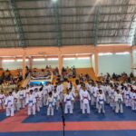 Atlet Rame Rame dan Insert Topan