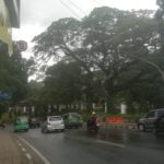 Viral di media sosial, pengendara yang melintas di Jalan Ir H Djuanda tepatnya dari Simpang Hotel Salak Hingga Jalan Jenderal Sudirman di Sebrang Istana Bogor sering mencium aroma wewangian.