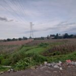 Perkebunan di bogor barat