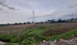 Perkebunan di bogor barat