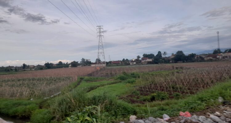 Perkebunan di bogor barat