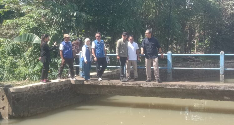 Wamendagri, Bima Arya bersama Sekda Kabupaten Bogor meninjau lokasi irigasi di Ciseeng Bogor
