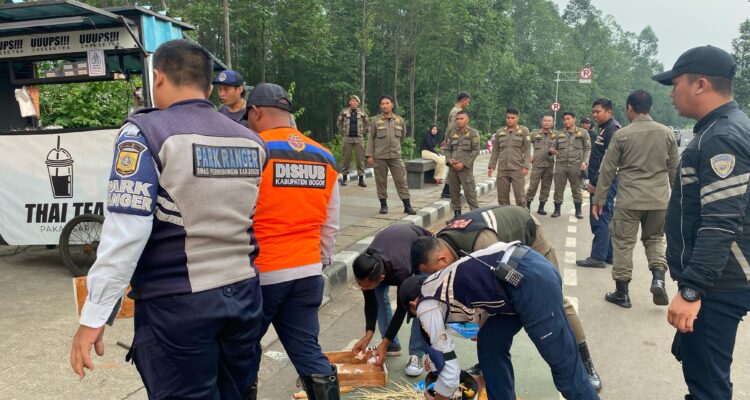 Satpol PP saat menertibkan PKL di area Pakansari Bogor