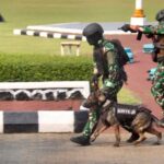 Tentara Nasional Indonesia (TNI) – Angkatan Darat, Laut, dan Udara – menggelar Latihan Bersama Tempur Kota (Latma Purkota) di lingkungan kompleks Pemerintah Kabupaten (Pemkab) Bogor.
