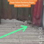 Temuan bensin di Botol pasca kebakaran di Pasar Ayar