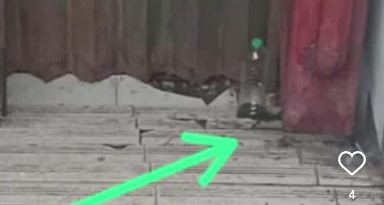 Temuan bensin di Botol pasca kebakaran di Pasar Ayar