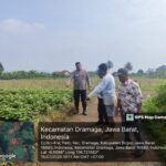 Kapolsek Dramaga meninjau lokasi perampasan dengan korban ojol, Foto/Polres Bogor