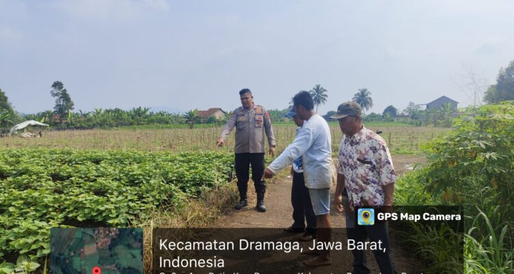 Kapolsek Dramaga meninjau lokasi perampasan dengan korban ojol, Foto/Polres Bogor
